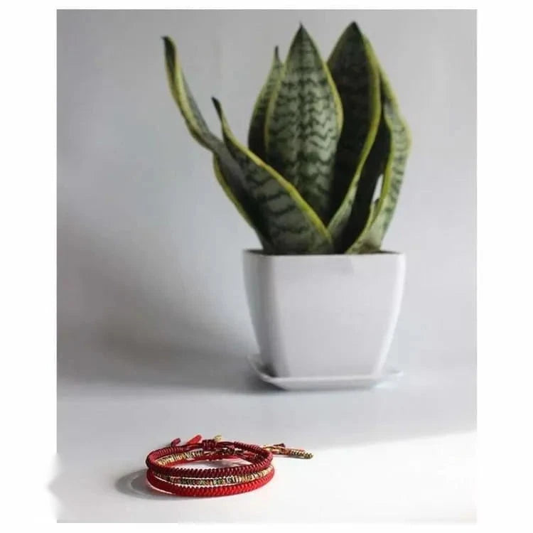 Bracelet tibétain tressé main multicolore
